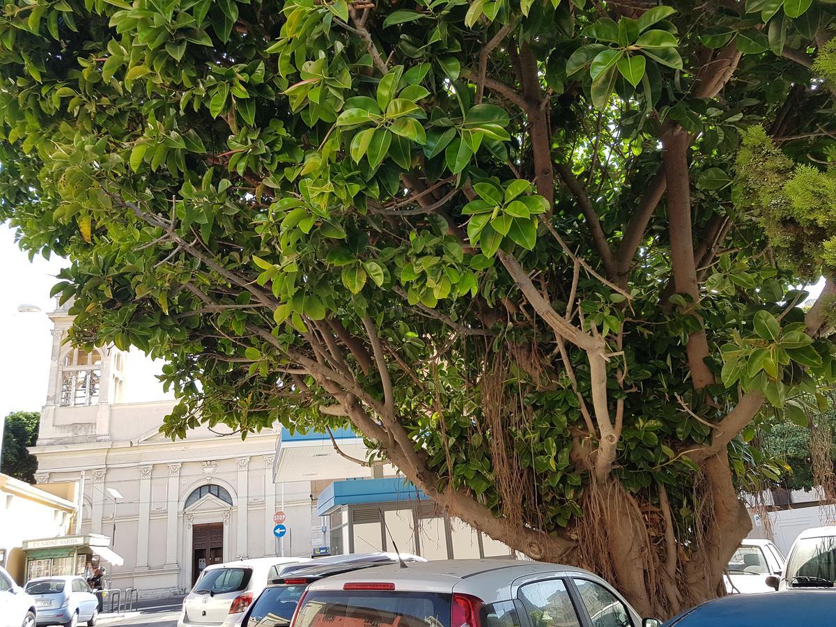 Da Agnese Locazioni Brevi Hotel Cagliari Exterior foto